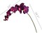 33.5-Inch Real Touch Vibrant Purple Phalaenopsis Orchid Stems - Set of 2 with 9 Lifelike Silk Blooms Each - Ideal for Parties, Weddings, Home & Office Decor - Floral Home by Artificial Flowers